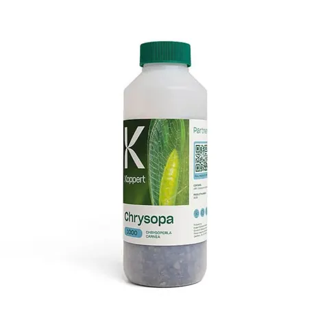 CHRYSOPA złotook pospolity 500ml