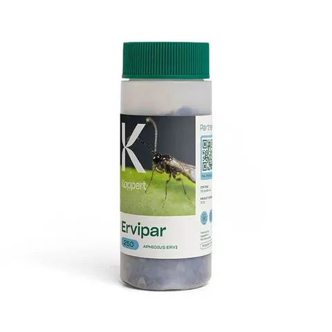 ERVIPAR osiec mszycowy