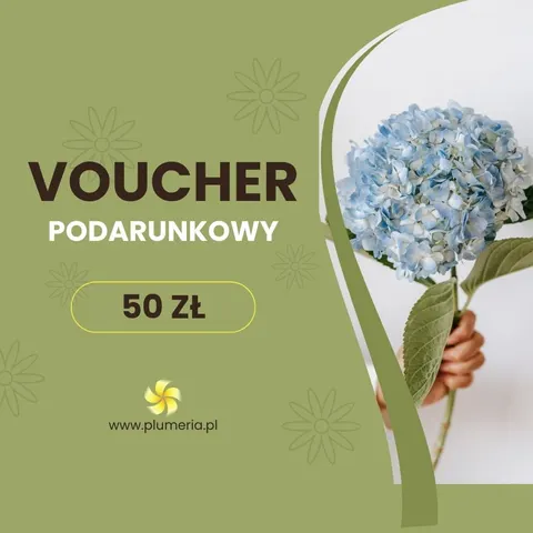 Bon upominkowy dla bliskiej osoby 50zł