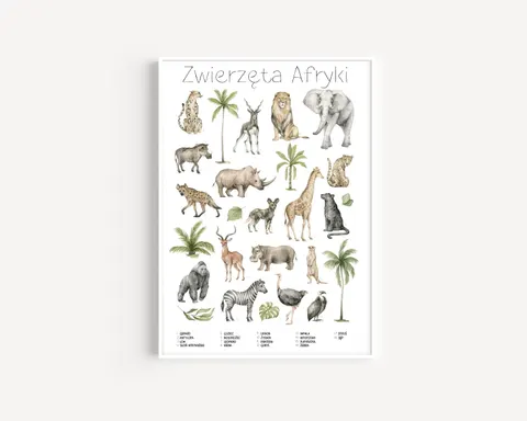 Plakat / na piance - Edukacyjny - Zwierzęta Afryki