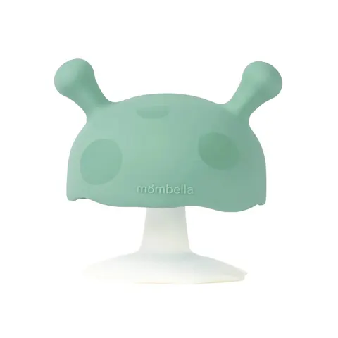 MOMBELLA GRYZAK GRZYBEK MUSHROOM EUCALYPTUS