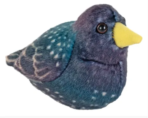 Ptak Szpak maskotka z dźwiękiem RSPB Wild Republic 3+