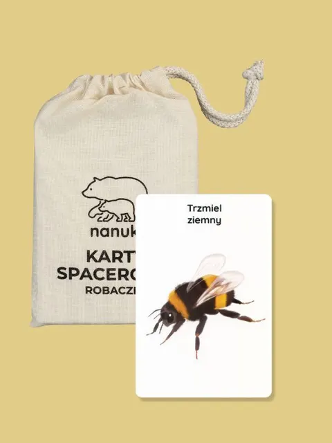 NANUKI Karty Spacerowe Robaczki