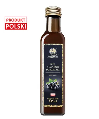 Sok z czarnej porzeczki 250 ml