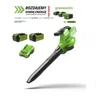 Dmuchawa / odkurzacz 40V 350km/h GD40BVIIK2X, zestaw z 2 akumulatorami 2Ah GREENWORKS