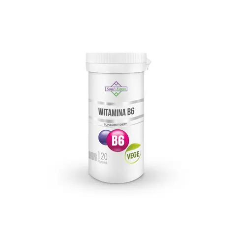 WITAMINA B6 120 KAPSUŁEK (18 mg) - SOUL FARM