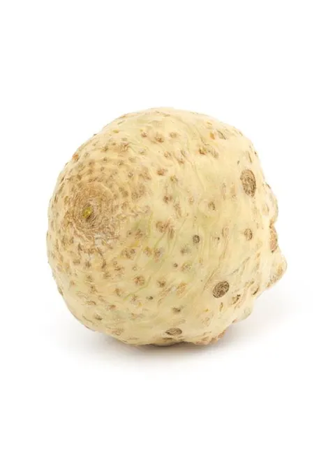 SELER ŚWIEŻY BIO (POLSKA) (około 1,00 kg)