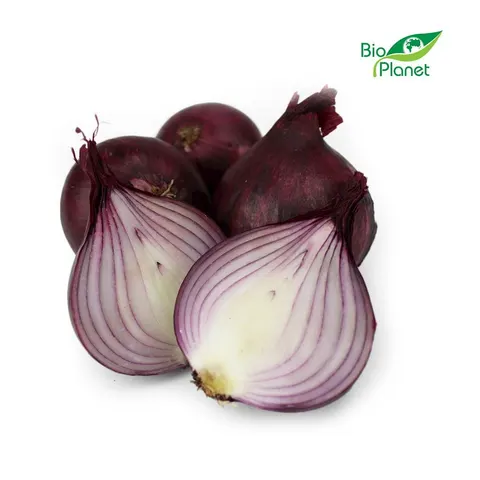 CEBULA CZERWONA ŚWIEŻA BIO (POLSKA) (około 1,00 kg)