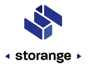 Storange pamięć 16 GB | Basic | USB 2.0 | gold