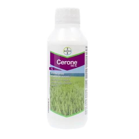 Cerone 480 SL (etefon) Bayer - regulator wzrostu