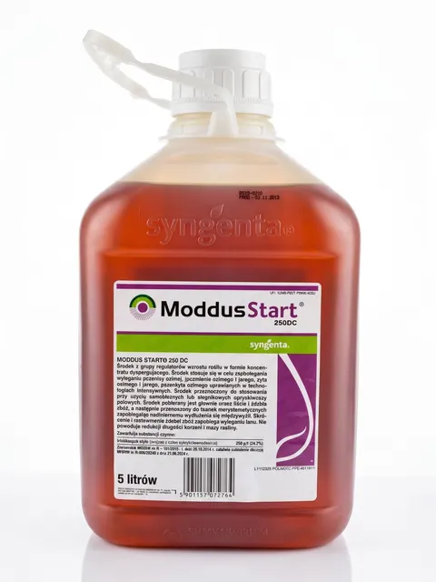 Moddus Start 250 DC – Nowoczesny Regulator Wzrostu Zbóż od Syngenta