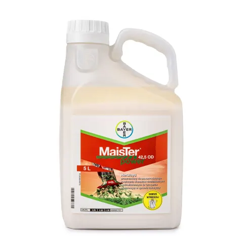 MAISTER POWER 42,5 OD