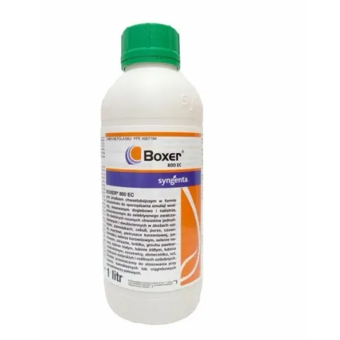 BOXER 800 EC