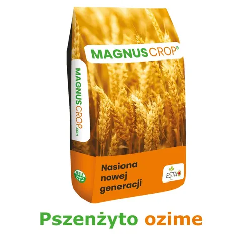 Pszenżyto ozime Rotondo