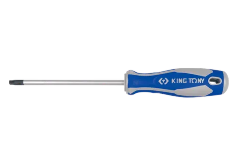 WKRĘTAK TORX Z OTWOREM T27 6,0 x 100mm