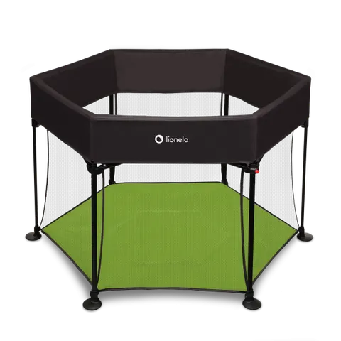 Kojec Lionelo Roel Green Limon