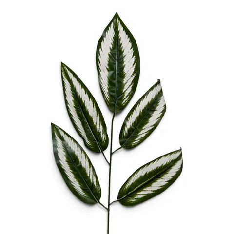 Liść mango (LVS001RB-I)