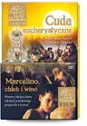 Cuda eucharystyczne. On jest prawdziwie Chlebem Żywym.