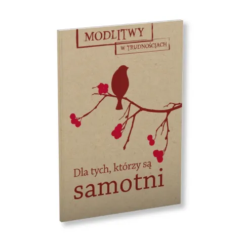 Dla tych, którzy są samotni. Modlitwy w trudnościach