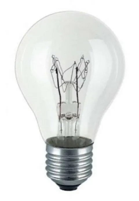 Żarówka wysokotemperaturowa soleo 100W A55 E27 230V