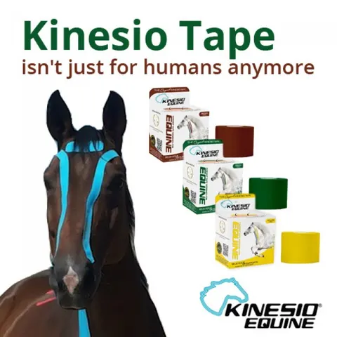 Oryginal Kinesio Tape dla koni i innych zwierząt (Equine)