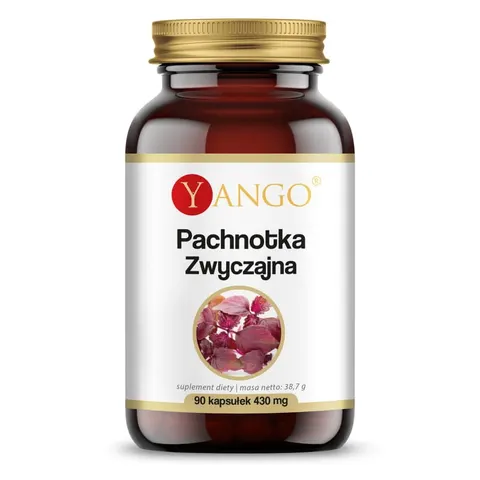 YANGO Pachnotka zwyczajna (90 kap)