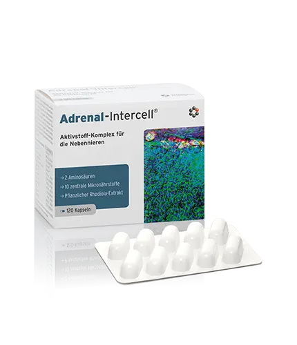 Mitopharma Adrenal-Intercell® (120kap)