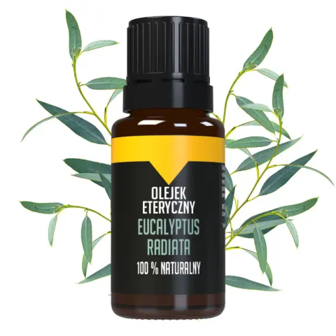 Bilovit Olejek eteryczny Eukaliptus Radiata (10 ml)