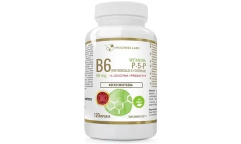 Progress Labs Witamina B6 (120kap)