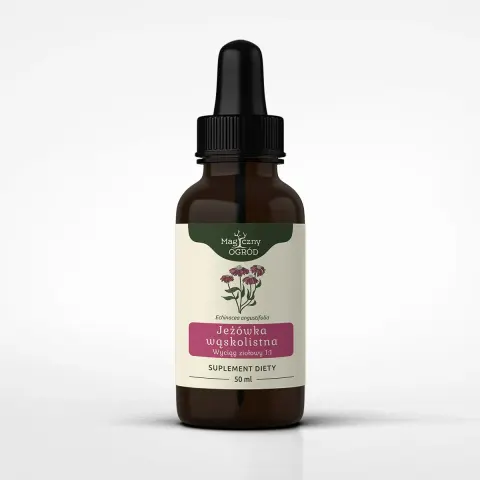 Magiczny Ogród Echinacea angustifolia nalewka 1:1 (50 ml)