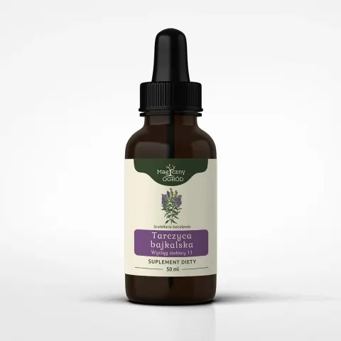 Magiczny Ogród Tarczyca bajkalska nalewka 1:1 (50ml)