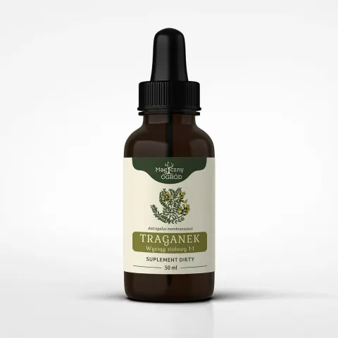 Magiczny Ogród Traganek nalewka 1:1 (50ml)