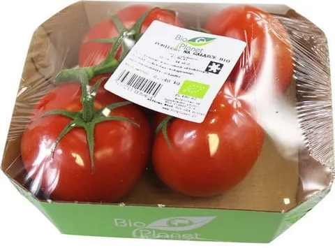 POMIDORY NA GAŁĄZCE BIO (około 0,45kg)