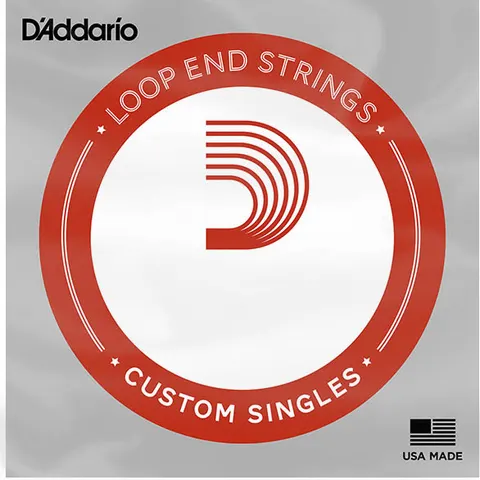 D'Addario Plain Steel Loop End .009