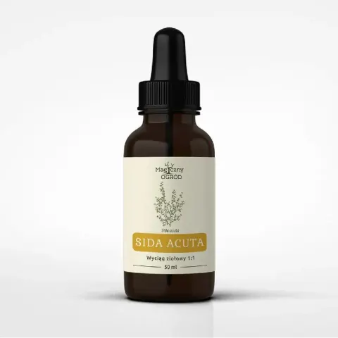 Magiczny Ogród Sida Acuta wyciąg 1:1 (50ml)