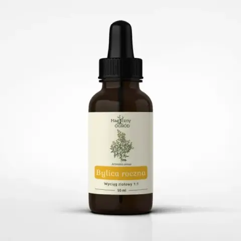 Magiczny Ogród Artemisia annua nalewka 1:1 (50ml)(data do 31.03.2027)