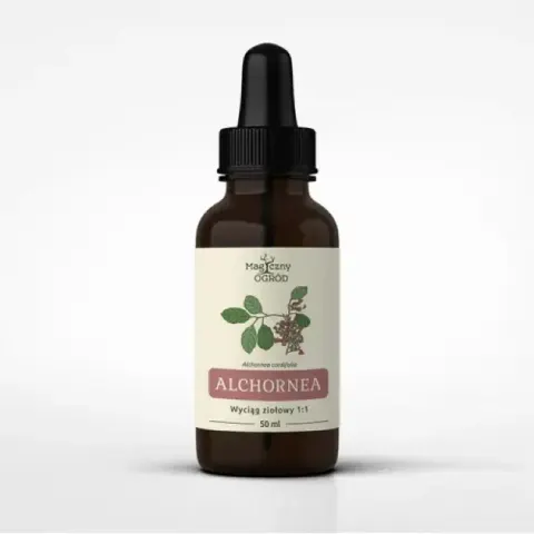 Magiczny Ogród Alchornea cordifolia nalewka 1:1 (50ml)(data do 31.03.2027)