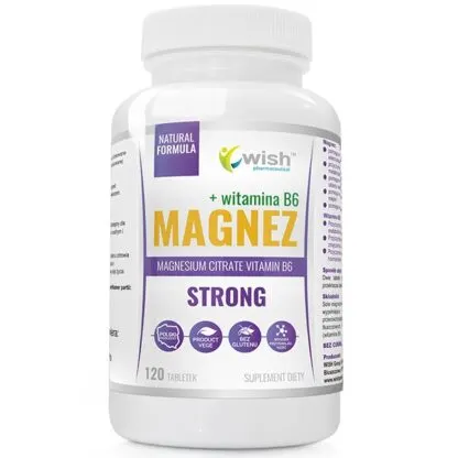 Wish Magnez Strong B6 (120 tab)