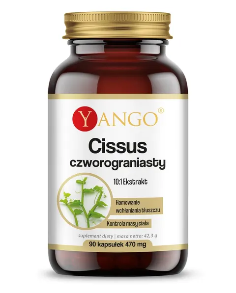 Yango - Cissus czworograniasty - 90 kaps. - Kontrola Masy Ciała