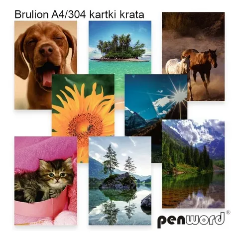 Brulion A4 304 kartki kratka mix a1