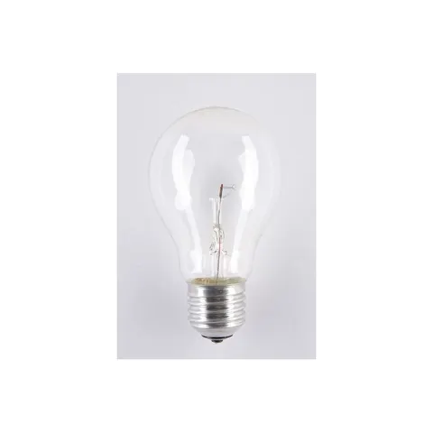 Żarówka wysokotemperaturowa soleo 60W A55 E27 24V