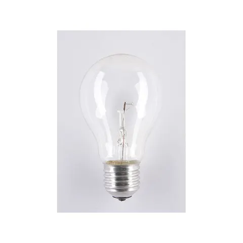 Żarówka wysokotemperaturowa soleo 40W A55 E27 24V