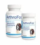 Dolfos ArthroFos - Wsparcie dla Stawów Twojego Psa 60 tabletek