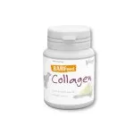 Regis Barf Collagen preparat na stawy 60 g
