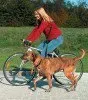 Smycz do Joggingu TX 1282 1 szt