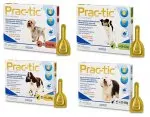 Prac-tic Krople - Skuteczna Ochrona Przed Kleszczami i Pchłami psy duże 22- 50kg