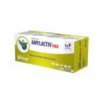 Regis Vetfood Amylactiv MAX wspomaga trawienie 120 kapsułek