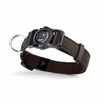 MEMOPET Obroża NFC S 1,6 26/37cm brązowa