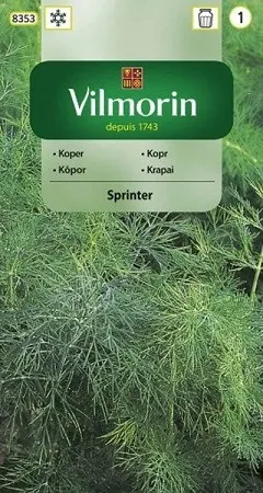 Nasiona Koper Sprinter 5g Vilmorin
