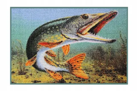 Wycieraczka Szczupak 3d 60x40 Cm Delphin
